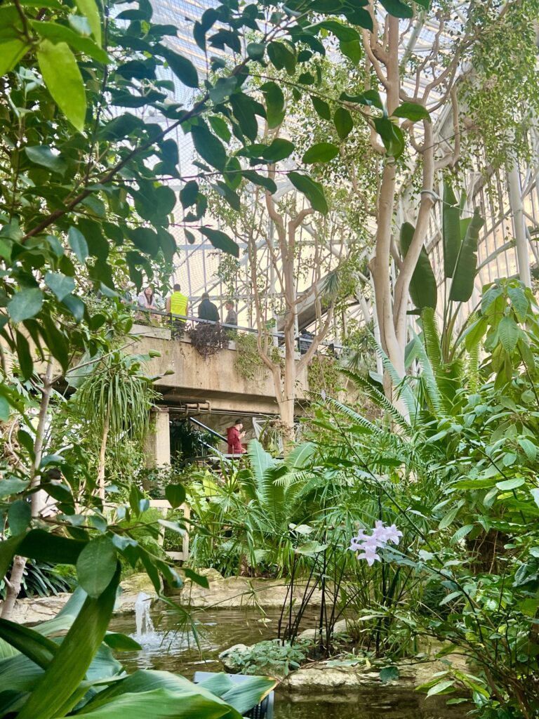 image inside the barbican conservatory