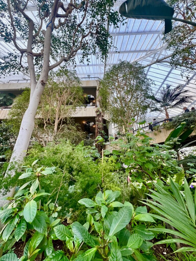 image inside the barbican conservatory