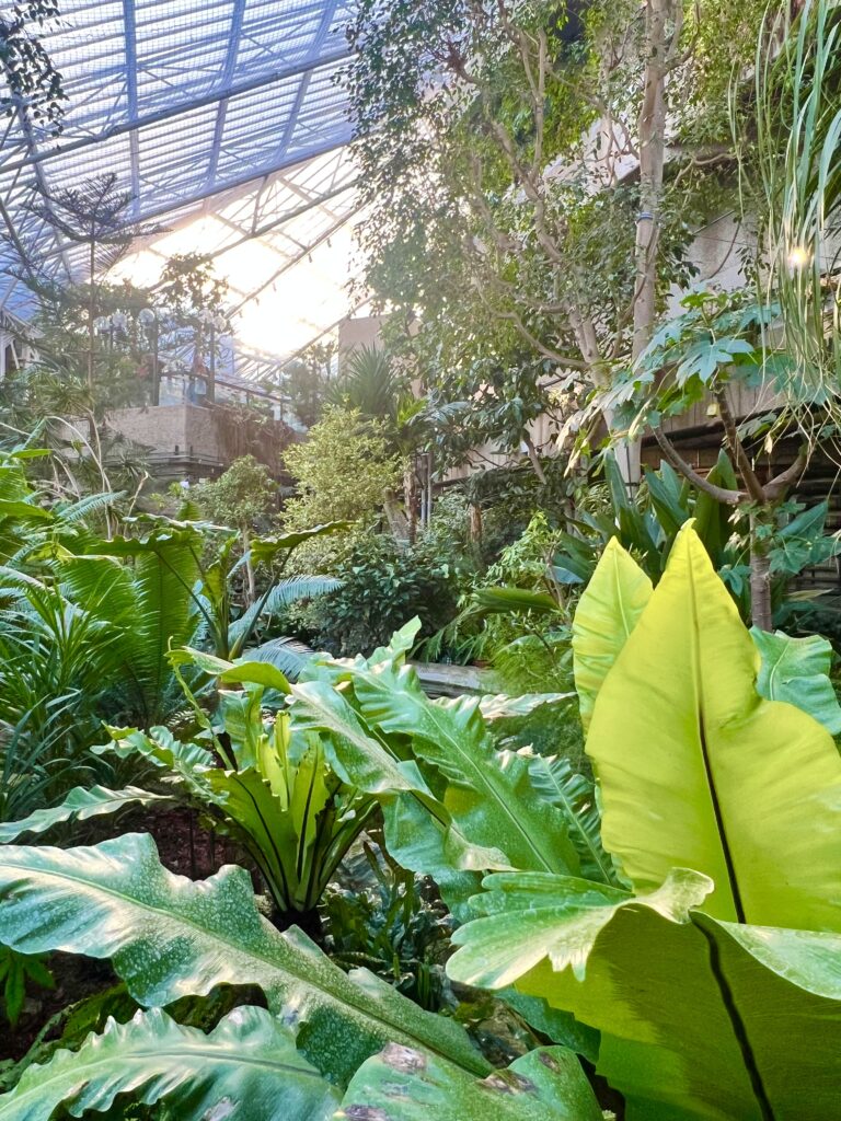 image inside the barbican conservatory