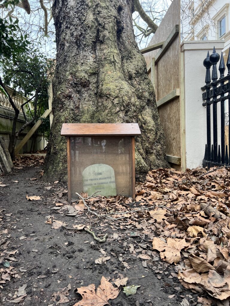 grave stone of "giro" dog of german ambassador leopold von hoesch outside 9 carlton house terrace london