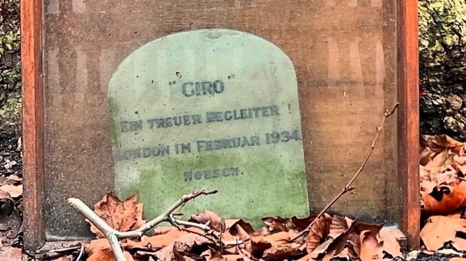 grave stone of "giro" dog of german ambassador leopold von hoesch outside 9 carlton house terrace london